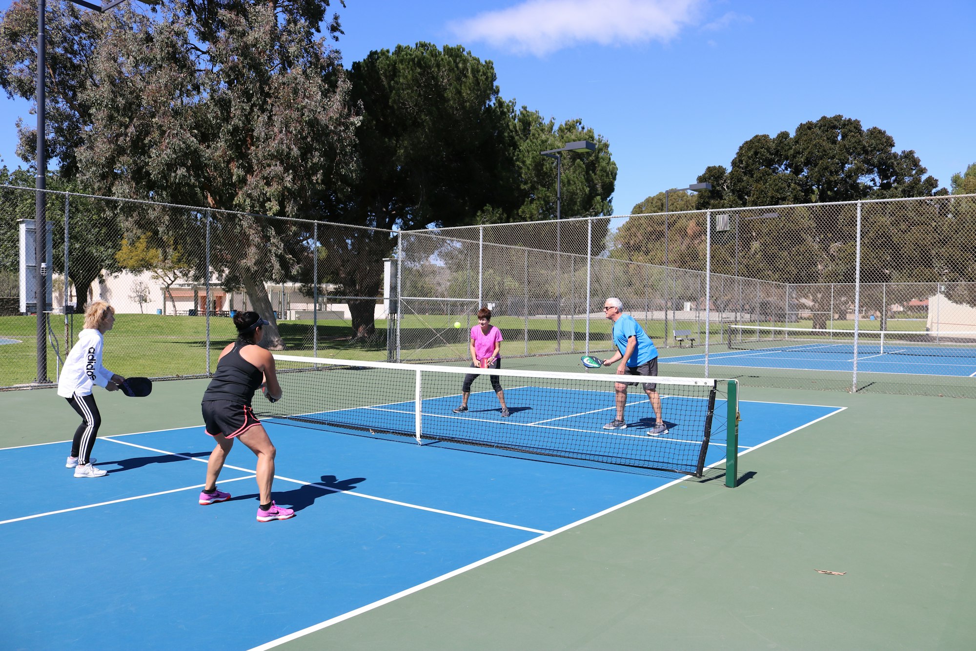 Pickleball courts